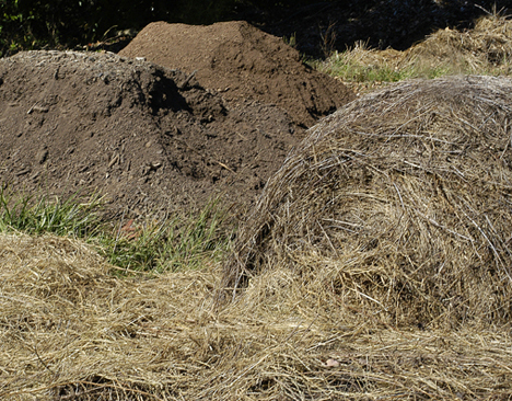 compost and hay web