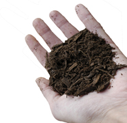 compost in handclipped web copy