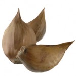 elephant garlic clovesweb
