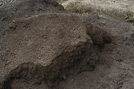 finished compost web
