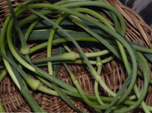 scapes web
