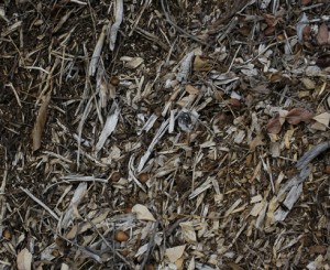 woodchips web