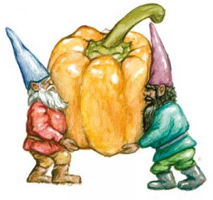 gnomes-southern-exposure-award