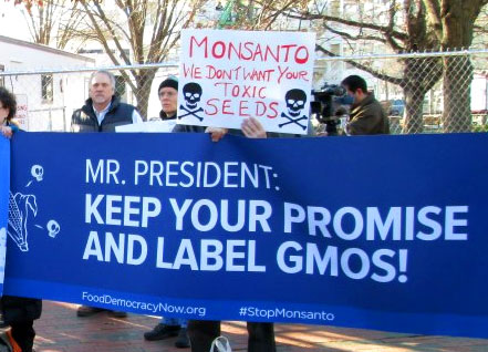 family-farmers-vs-monsanto-lawsuit