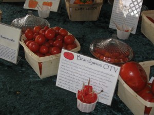 brandywine otv at tasting Heirloom tomato tasting fredericksburg southern exposure seed exchange organic