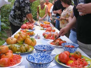 winn-farm-tomatoes Heirloom tomato tasting fredericksburg southern exposure seed exchange organic