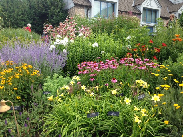 welcome to the garden pollinator mix | Southern Exposure Seed Exchange