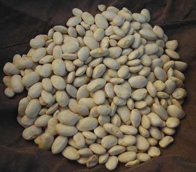 Lazy Wife Greasy BEAN, SNAP (POLE) 14 g Lazy Wife Greasy BEAN, SNAP (POLE) 14 g