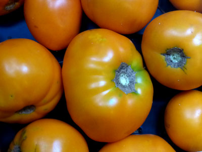 Peg's Round Orange Tomato 0.16 g Peg's Round Orange Tomato 0.16 g
