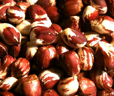 Texas Red and White PEANUT 28 g Texas Red and White PEANUT 28 g