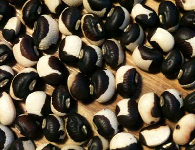 Tohono O'odham (Papago) Southern Pea (Cowpea) 28 g Tohono O'odham (Papago) Southern Pea (Cowpea) 28 g