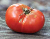 radiator charlie's mortgage lifter heirloom tomato