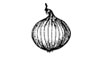 Dry Bulb Onions