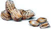 Peanuts