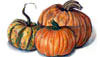 Pumpkins