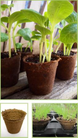 CowPots 3" Round Biodegrable Seedling Pot Set of 12 CowPots 3" Round Biodegrable Seedling Pot Set of 12