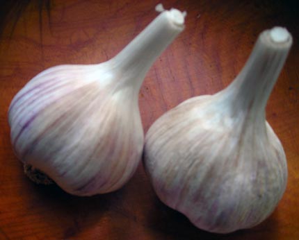 Appalachian Red Hardneck Garlic 8 oz. Appalachian Red Hardneck Garlic 8 oz.