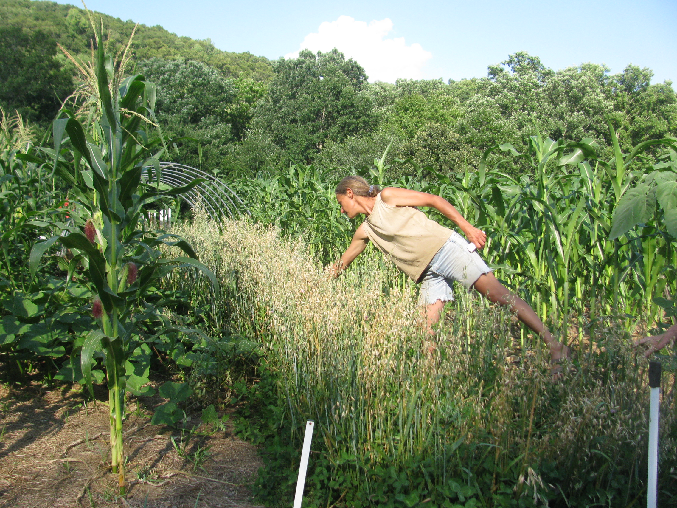 Susana in the Field