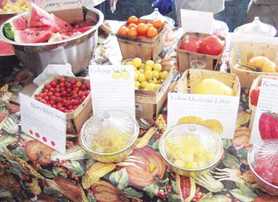 Tomato Tasting
