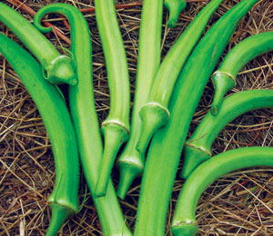 choppee okra