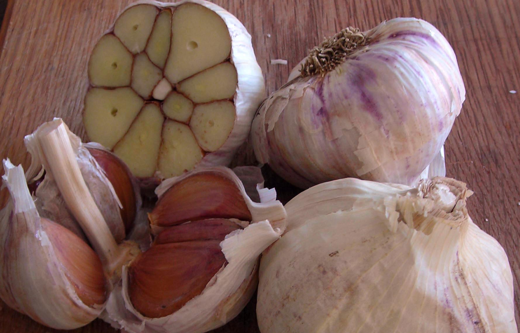 Killarney Red Hardneck Garlic, 8 oz. Southern Exposure Seed Exchange