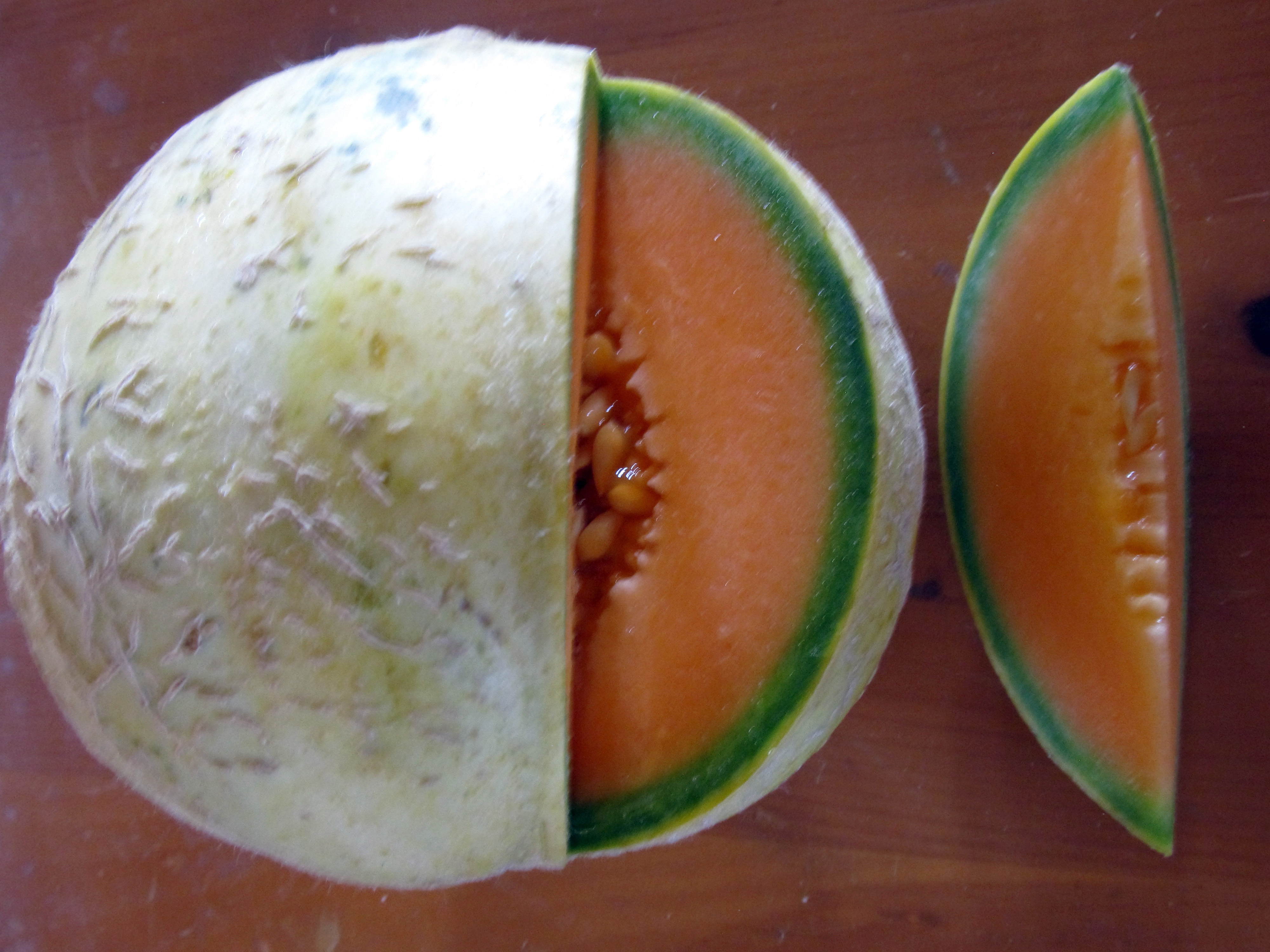 trifecta muskmelon bulk size 28 g southern exposure seed