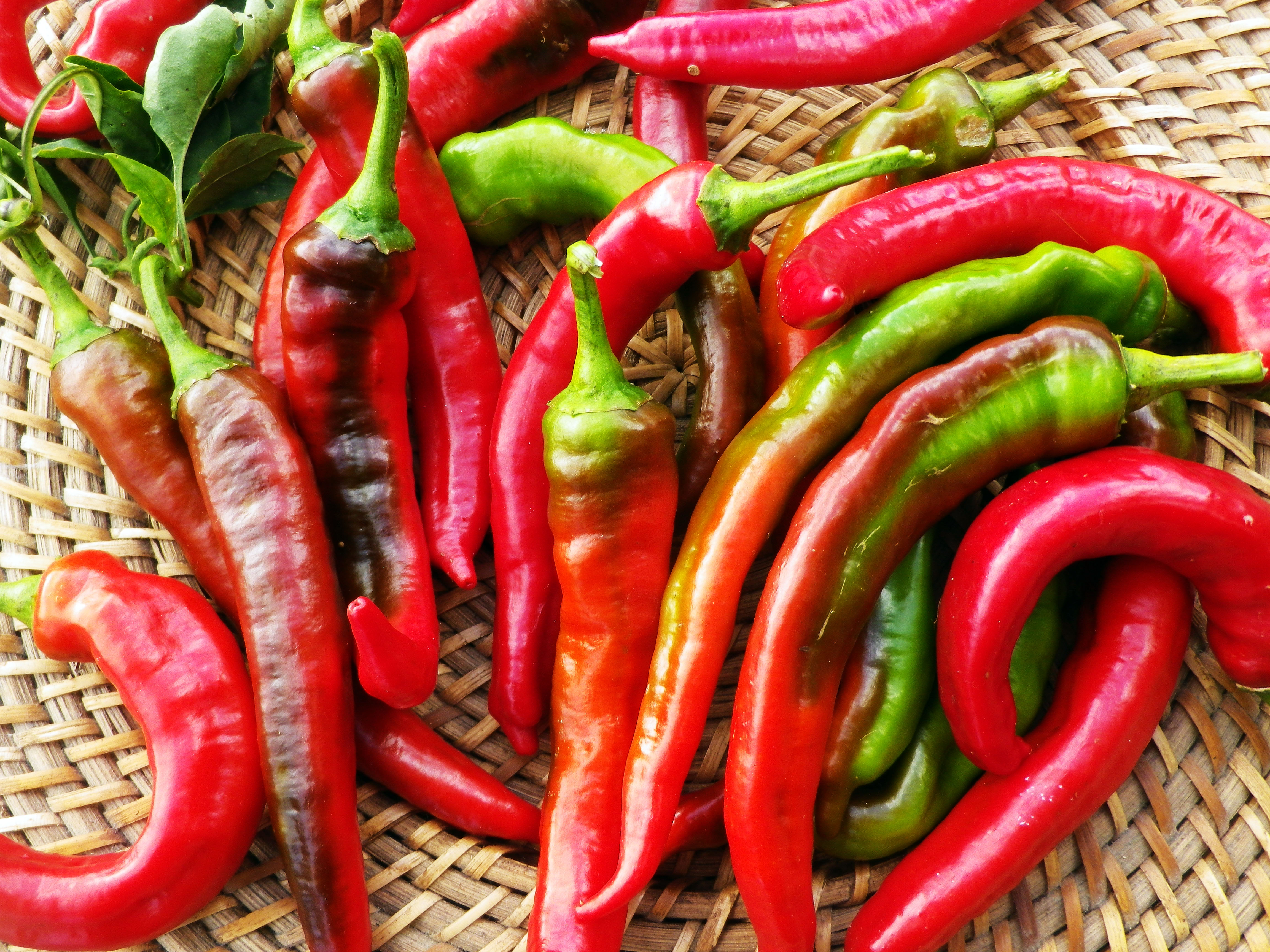 Jimmy Nardello's Italian Sweet Pepper, 0.3 g Southern Exposure Seed