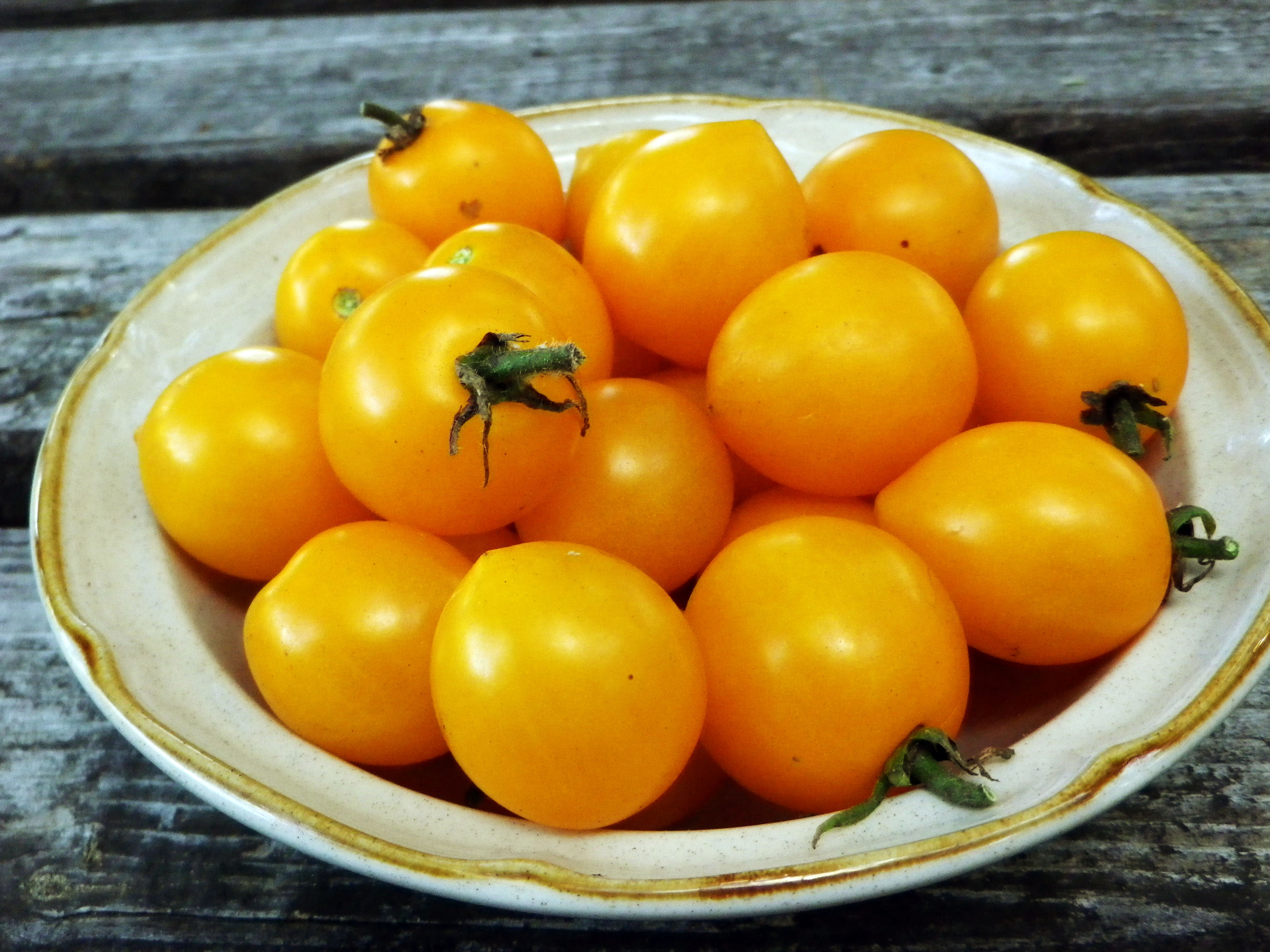 Yellow Centiflor Cherry Tomato, 0.08 g Southern Exposure