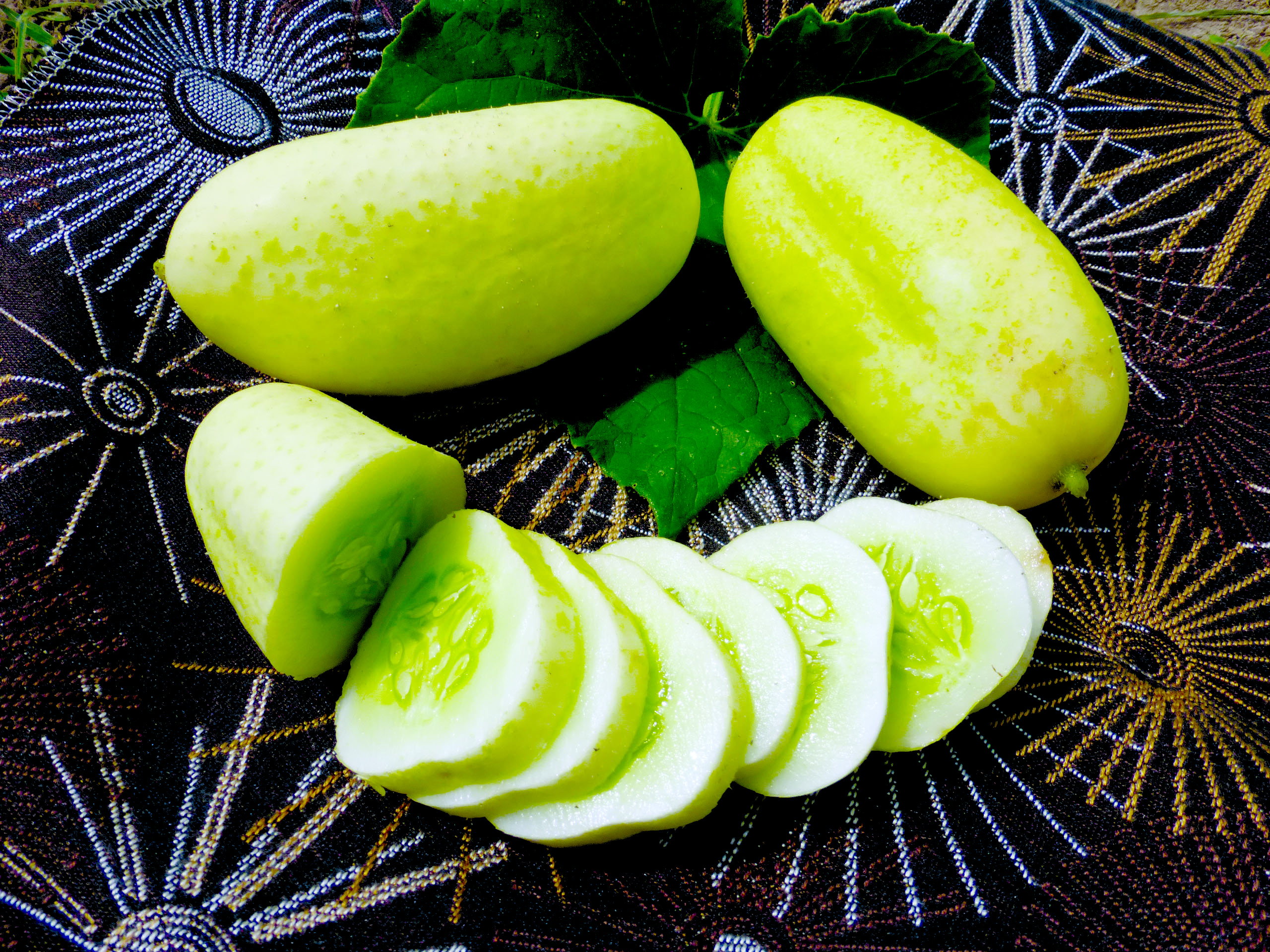 White Wonder Cucumber, 2 g : Southern Exposure Seed Exchange, Saving