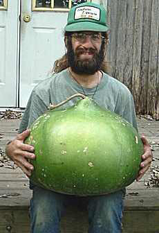 bushel gourd ornamental gourd 3 g southern exposure seed exchange