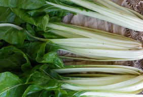 Barese chard