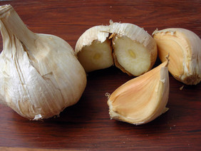 Elephant Garlic