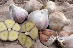 Hardneck (Rocambole) Garlic