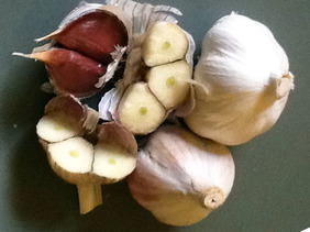 asiatic & turban garlic