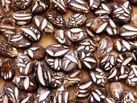 Cekirdegi Oyali watermelon seeds