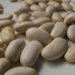 McCaslan BEAN, SNAP (POLE) 28 g McCaslan BEAN, SNAP (POLE) 28 g