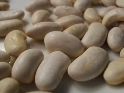 McCaslan BEAN, SNAP (POLE) 28 g McCaslan BEAN, SNAP (POLE) 28 g