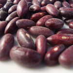 Provider Snap Bean (Bush) 114g
