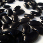 Black-Seeded Kentucky Wonder BEAN, SNAP (POLE) 28 g Black-Seeded Kentucky Wonder BEAN, SNAP (POLE) 28 g