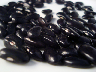 Black-Seeded Kentucky Wonder BEAN, SNAP (POLE) 28 g Black-Seeded Kentucky Wonder BEAN, SNAP (POLE) 28 g