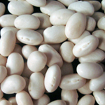 White Half-Runner Snap Bean (Bush) 228g