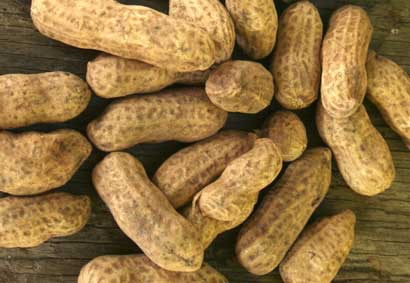 Carolina Black PEANUT 28 g Carolina Black PEANUT 28 g