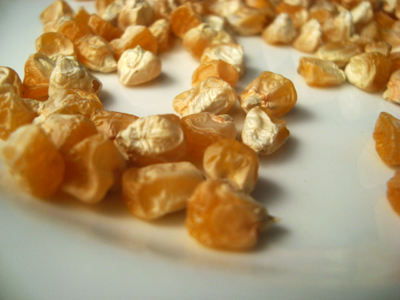 Early Sunglow - hybrid Sweet Corn 28g