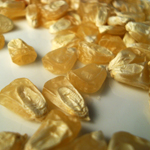 Silver Queen - hybrid Sweet Corn 114g