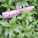 Peppermint - Herb 0.05g Peppermint - Herb 0.05g