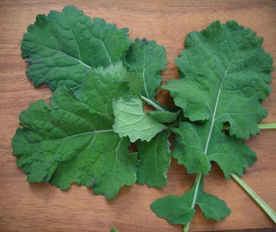 Even' Star Smooth KALE 1 g Even' Star Smooth KALE 1 g