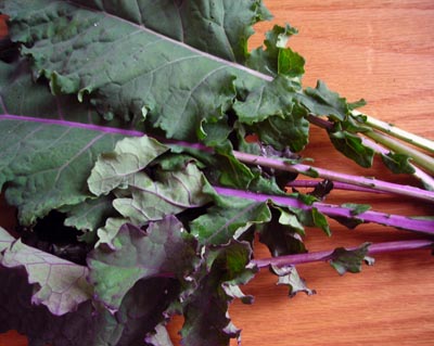 Lacinato Rainbow Mix KALE 2 g Lacinato Rainbow Mix KALE 2 g