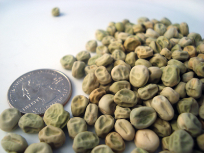 Little Marvel PEA, SHELLING (ENGLISH) (DWARF) 228 g