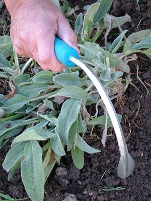 CobraHead 'Steel Fingernail' Weeder and Cultivator SUPPLY CobraHead 'Steel Fingernail' Weeder and Cultivator SUPPLY