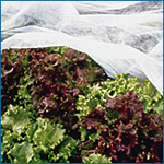 Garden Blanket (Reemay, Floating Row Cover), 50 ft